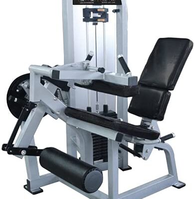 French Fitness Shasta Seated Leg Curl / Leg Extension