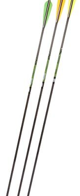 Gold Tip XT Hunter 7595/340 Carbon Arrows with 4-Inch Vanes 72 Count Black