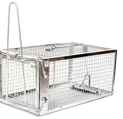AB Traps Quality Live Animal Humane Trap for Rats, Mice, and Rodents - Small 10.5" x 5.5" x 4.5" 100-Pack