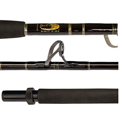 BlackFin Rods Fin #154L Fast Action Fishing Rod Multicoloured