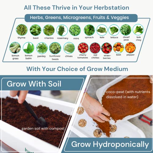 Altifarm Herbstation Indoor Garden Green Brown - Image 4