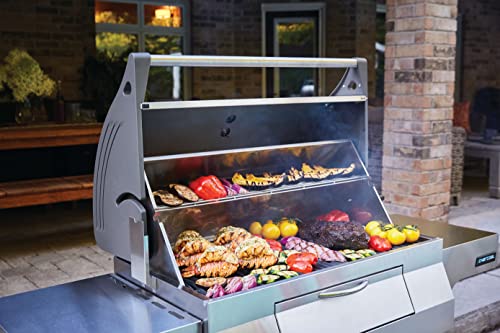 Napoleon PRO605CSS Professional Charcoal Grill Stainless Steel - Image 6